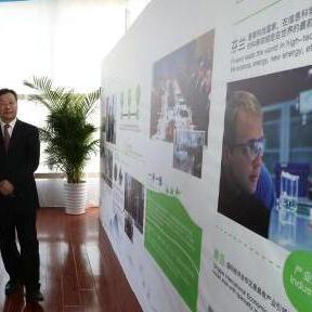 全球经济趋势与主要国家发展动态深度解析，深度国际最新一期报道