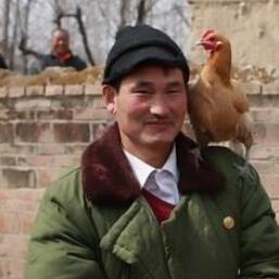 朱之文最新出场费揭秘，一线农民歌手的身价与故事揭秘