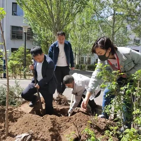 联系我们 第87页