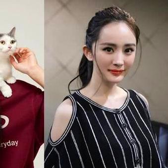 李易峰杨幂再度合作揭秘，最新电视剧数据大放送！