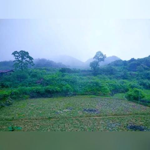 酉沿高速公路最新动态，最新消息汇总