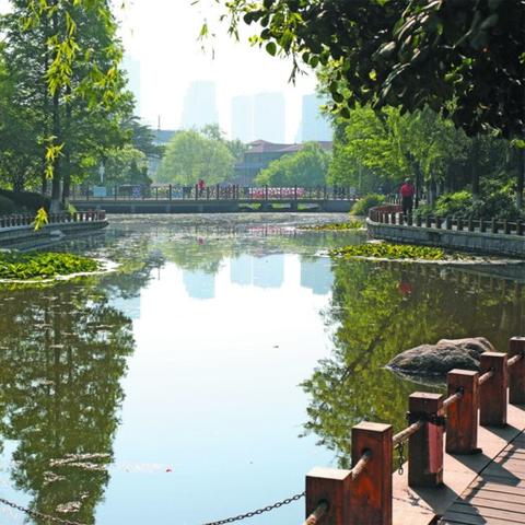 厂家 第77页