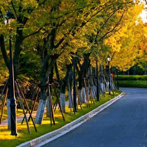 鲁信随珠花园最新房价走势分析