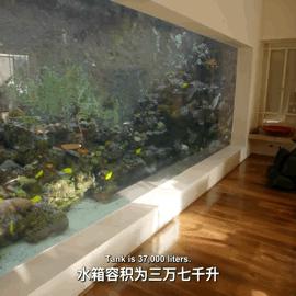 开心水族箱最新兑换码攻略，获取及使用方法全解析