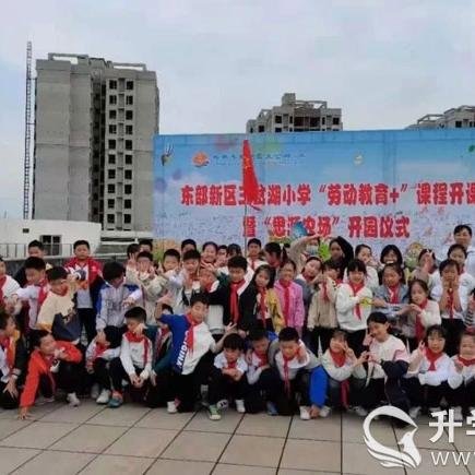 成都人才网最新招聘动态深度解析，求职招聘资讯速递