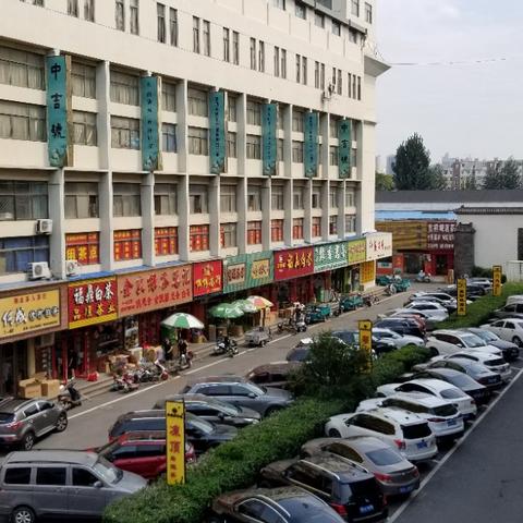 中国茶府动态更新，最新消息汇总