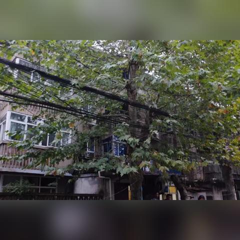 浦口桥工新村更新动态，最新消息汇总