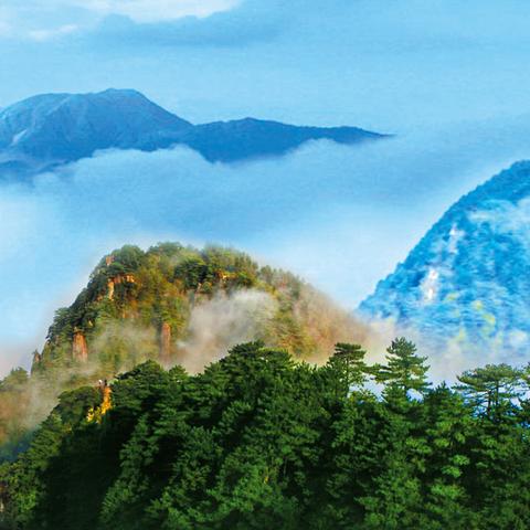 江西最新4A景区名单及旅游体验分享，共XX个景区