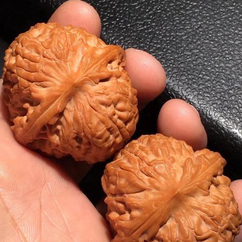 最新文玩品种揭秘，热门新宠探索