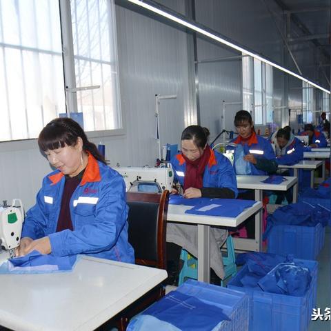 最新致富项目，探索办厂新模式，财富之路启程