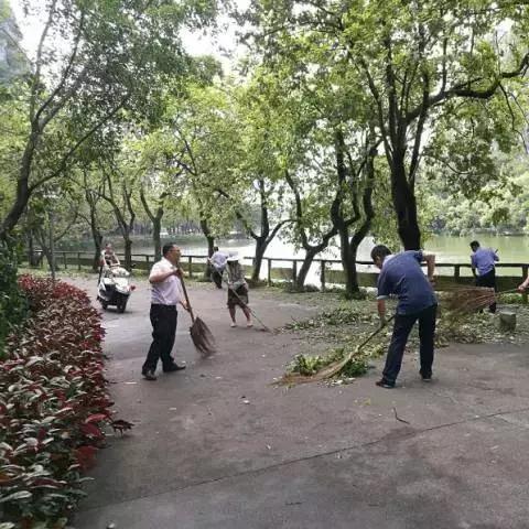 台风鸽子实时更新消息，最新动态关注中