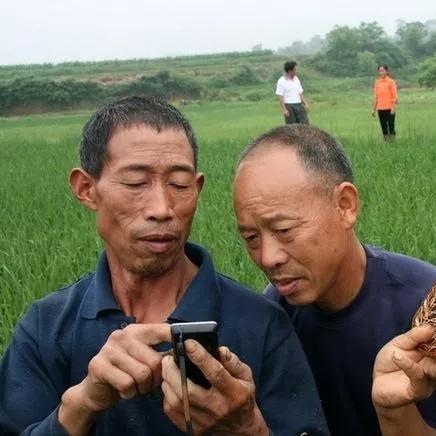 全球互联网用户突破四十亿，数字鸿沟问题待解决