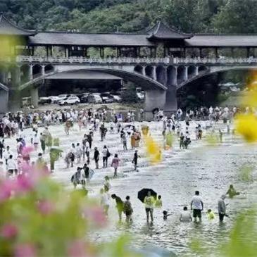 富阳最新新闻报道更新，时事动态概览