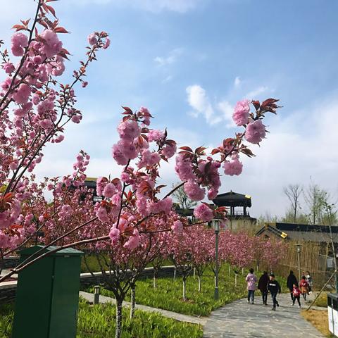 邳州最新租房信息更新，优质房源一览无余