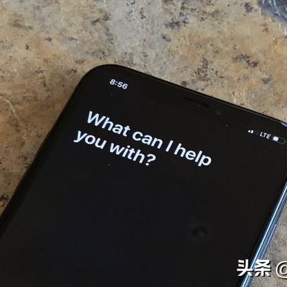 食盐改革最新暂停，深度分析与影响评估