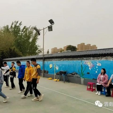 最新式渭南滚筒，技术革新典范，产业升级引领者